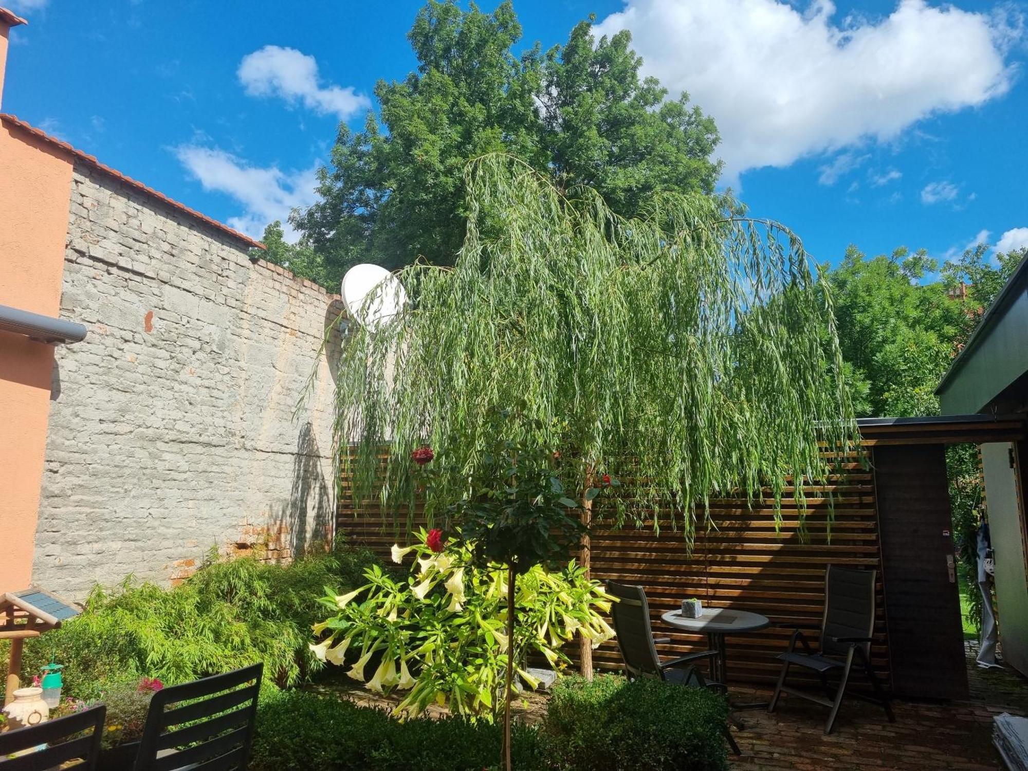 Apartments Junger-Moritz Ерфурт Стая снимка